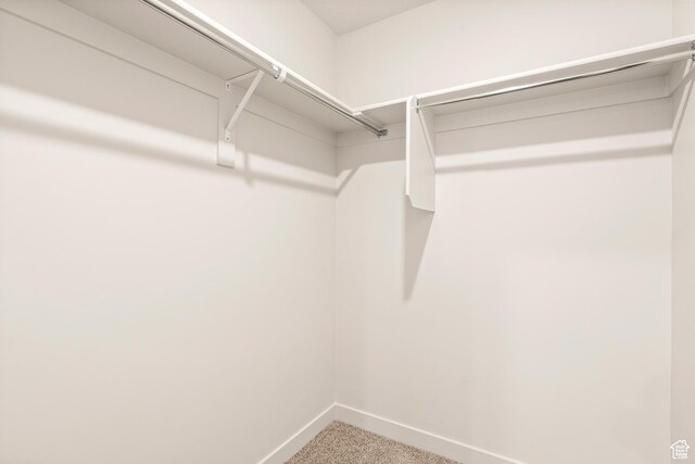 1264 N Berra Blvd Unit 133, Tooele, UT 84074 - walk in closet with carpet floors