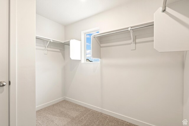 1264 N Berra Blvd Unit 133, Tooele, UT 84074 - spacious closet with carpet