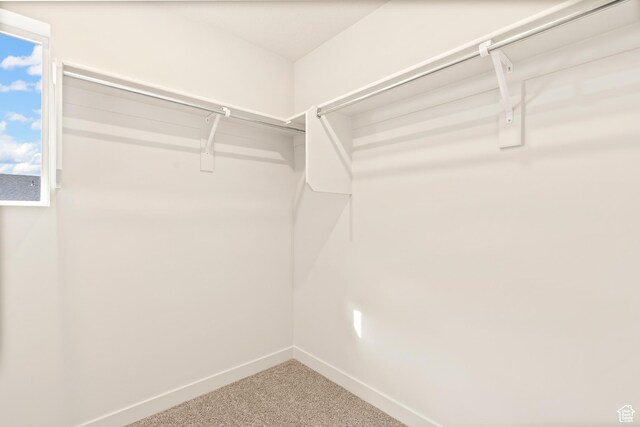 1264 N Berra Blvd Unit 133, Tooele, UT 84074 - walk in closet with carpet