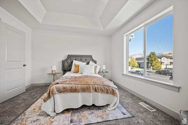 658 S 85 E Unit 13, Smithfield, UT 84335 - bedroom featuring carpet, a tray ceiling, and baseboards