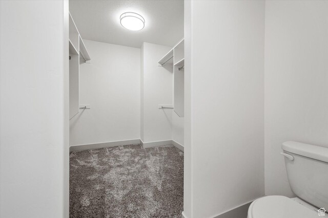 658 S 85 E Unit 13, Smithfield, UT 84335 - spacious closet with carpet floors