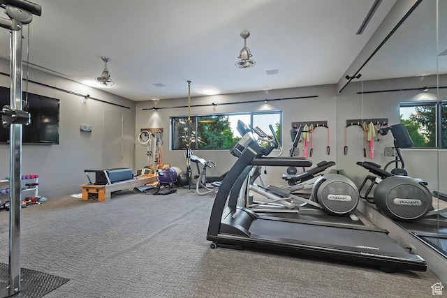 gym featuring a wealth of natural light