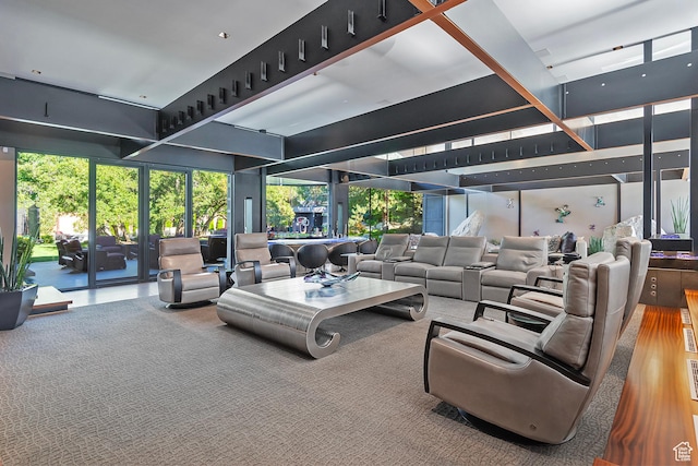 living room featuring a towering ceiling