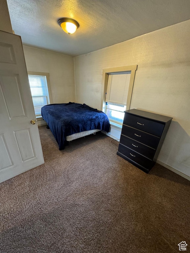 320 N Stone Rd, Snowville, UT 84336 - bedroom featuring multiple windows, dark carpet, and a textured ceiling