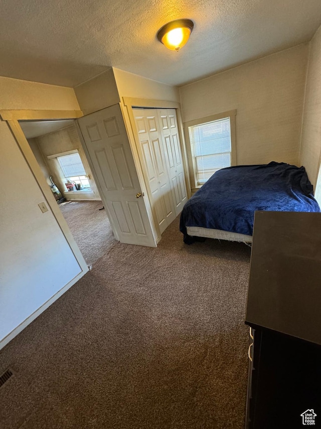 320 N Stone Rd, Snowville, UT 84336 - bedroom featuring carpet, a textured ceiling, and a closet