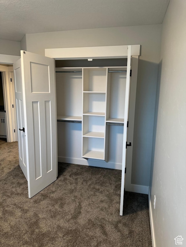165 E 700 N Unit 13, Ephraim, UT 84627 - view of closet