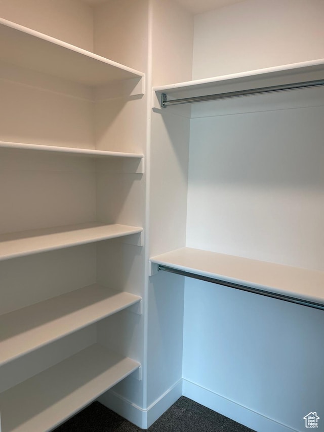 165 E 700 N Unit 13, Ephraim, UT 84627 - walk in closet with dark carpet