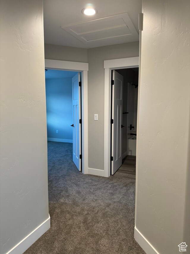 169 E 700 N Unit 14, Ephraim, UT 84627 - hallway featuring attic access, carpet, and baseboards