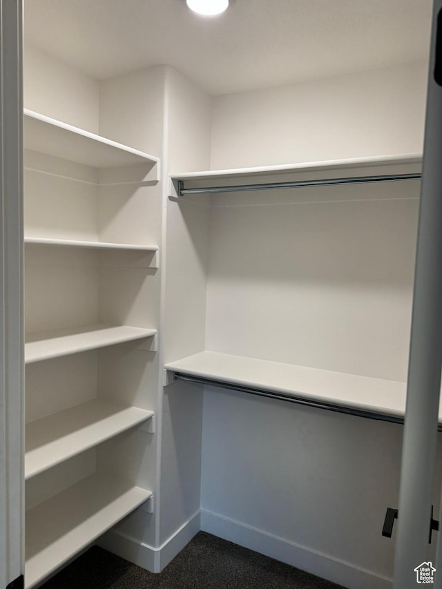 169 E 700 N Unit 14, Ephraim, UT 84627 - walk in closet with dark colored carpet