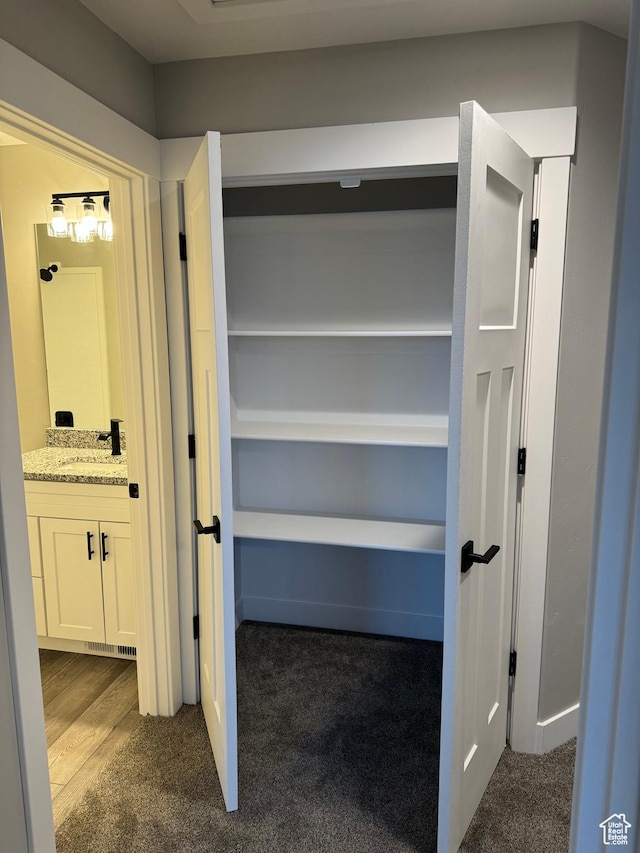 169 E 700 N Unit 14, Ephraim, UT 84627 - closet featuring a sink