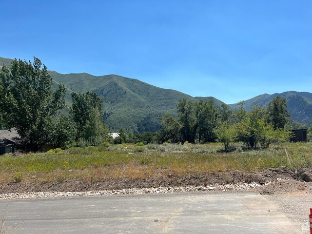 8494 W Chokecherry Ln Unit 21, Heber City, UT 84032
