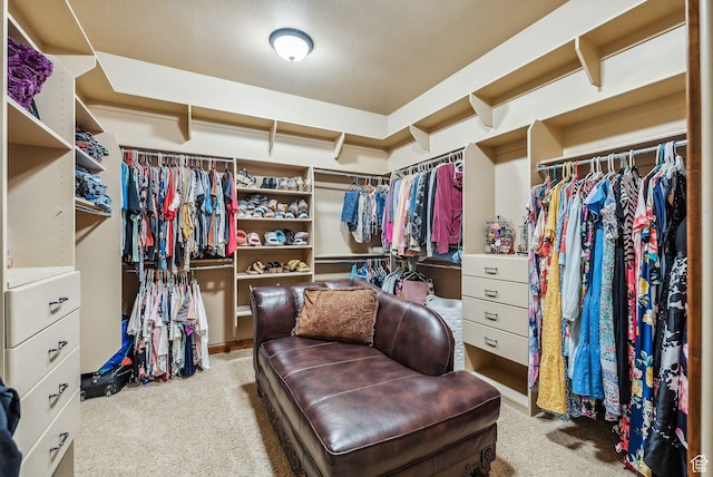 spacious closet featuring carpet