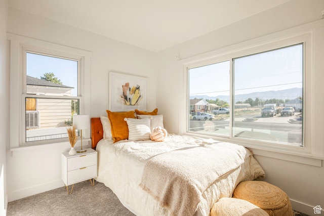 bedroom with multiple windows and carpet floors