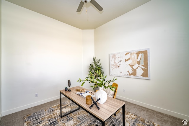 3385 S Marblewood Dr, St George, UT 84790 - office space with carpet and ceiling fan