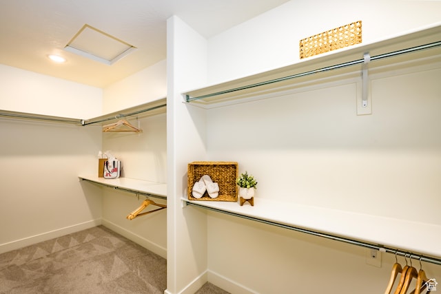 3385 S Marblewood Dr, St George, UT 84790 - walk in closet with light colored carpet