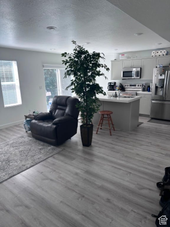 living room featuring a textured ceiling and light hardwood / wood-style flooring
