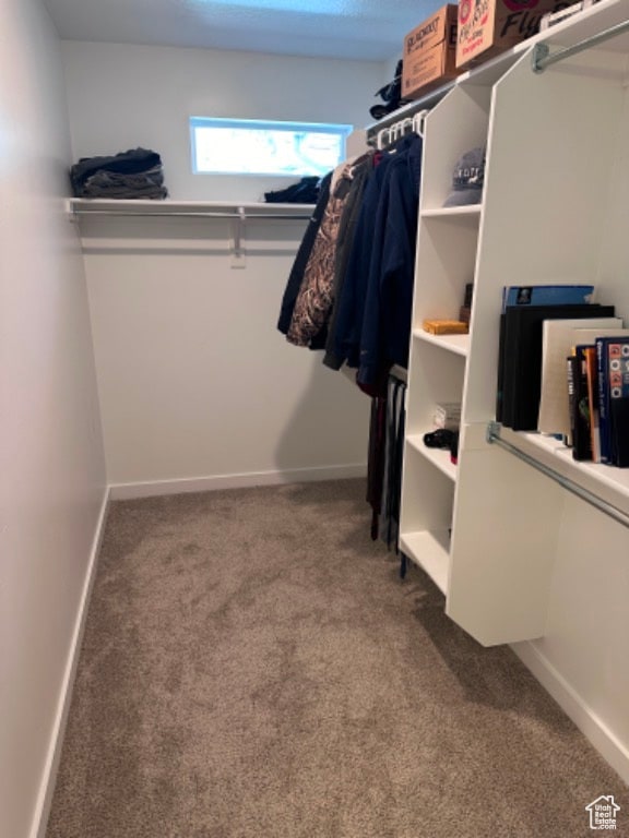 spacious closet featuring carpet