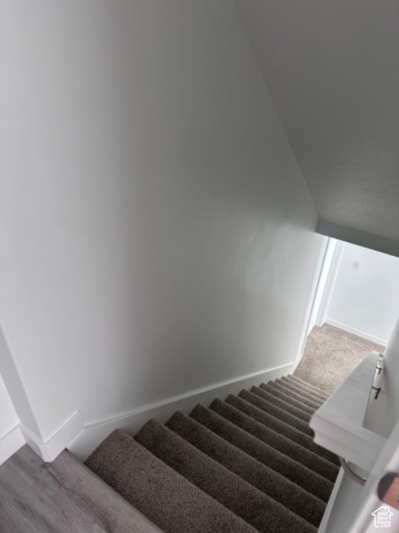 stairway featuring carpet flooring