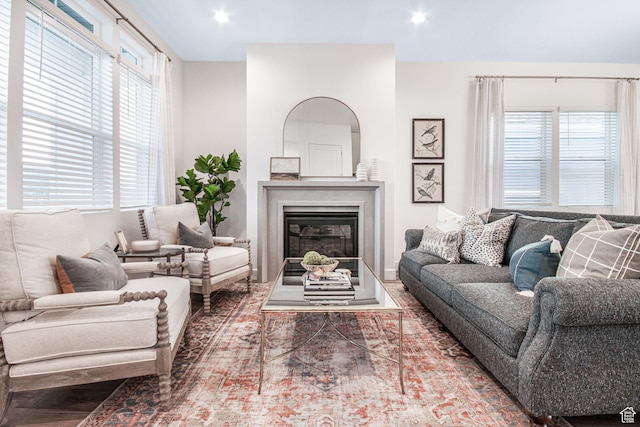 living area featuring a glass covered fireplace
