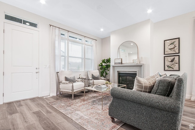 living room with a glass covered fireplace, wood finished floors, and recessed lighting