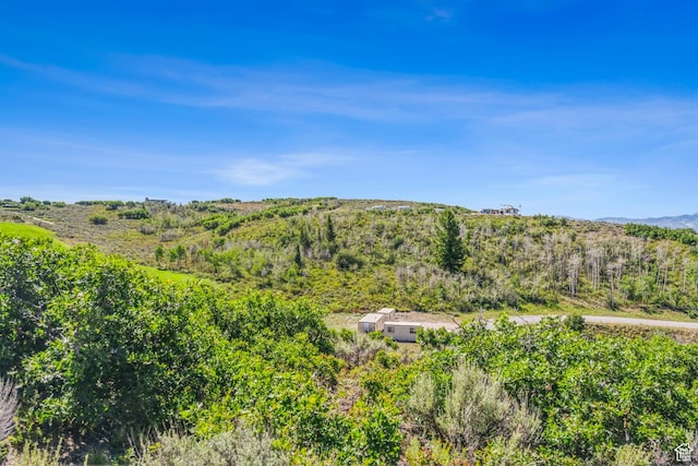 3575 E Wapiti Canyon Rd, Park City, UT 84098 - view of local wilderness with a view of trees and a mountain view