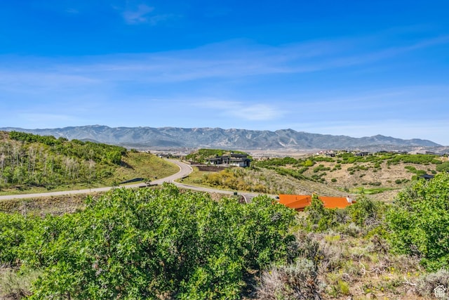3575 E Wapiti Canyon Rd, Park City, UT 84098 - mountain view