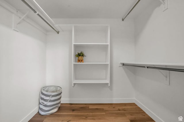 walk in closet featuring wood finished floors