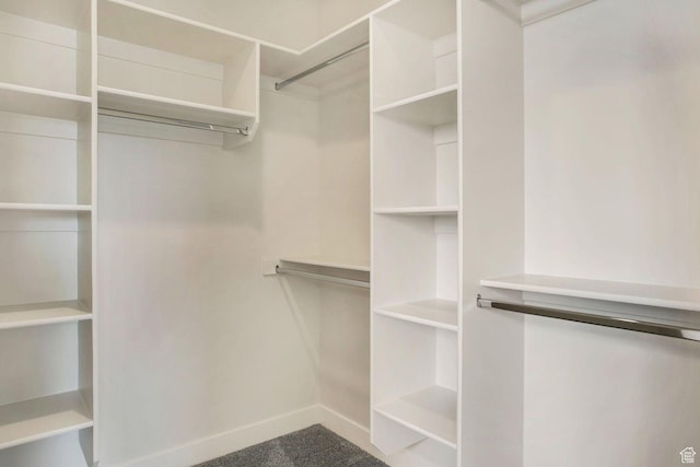 2128 N Montagna St, Washington, UT 84780 - spacious closet featuring carpet floors