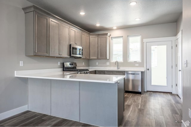 1082 S 2810 E, Spanish Fork, UT 84660 - kitchen featuring dark wood-type flooring, a peninsula, a sink, and appliances with stainless steel finishes