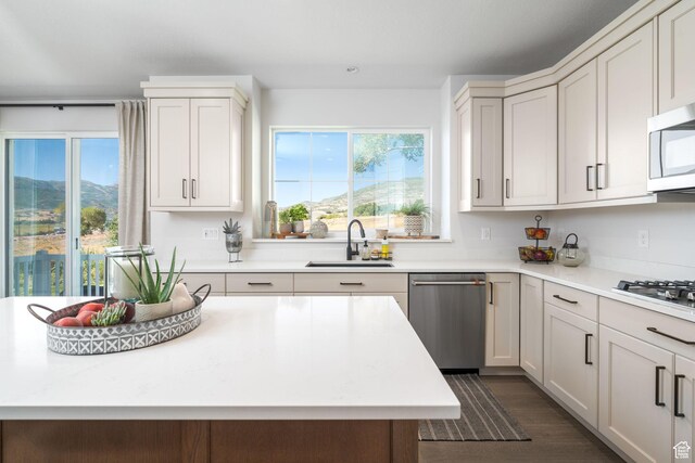 291 E 1980 N, Heber City, UT 84032 - kitchen featuring dark wood-style flooring, stainless steel appliances, a sink, and light countertops