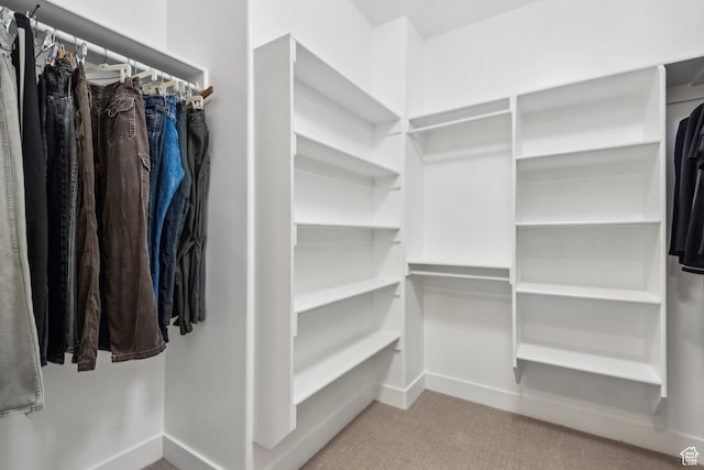 spacious closet with carpet flooring