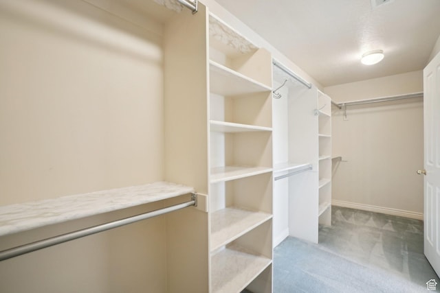 678 Eagle Way, Fruit Heights, UT 84037 - walk in closet with carpet flooring