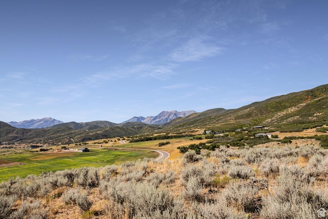 944 W Wards Ln Unit 3, Midway, UT 84049 - photo 35