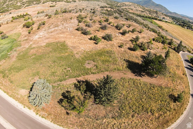 944 W Wards Ln Unit 3, Midway, UT 84049 - photo 41