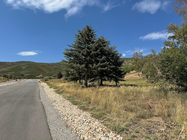 944 W Wards Ln Unit 3, Midway, UT 84049 - photo 11