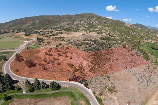 944 W Wards Ln Unit 3, Midway, UT 84049 - photo 10
