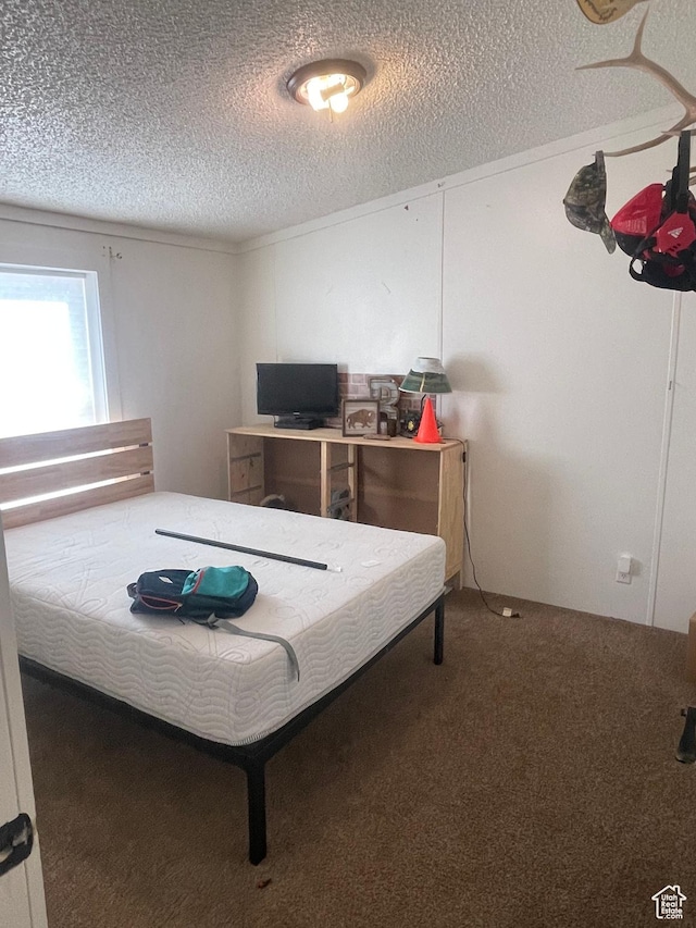 3772 N 15530 W, Altamont, UT 84001 - bedroom featuring carpet flooring and a textured ceiling