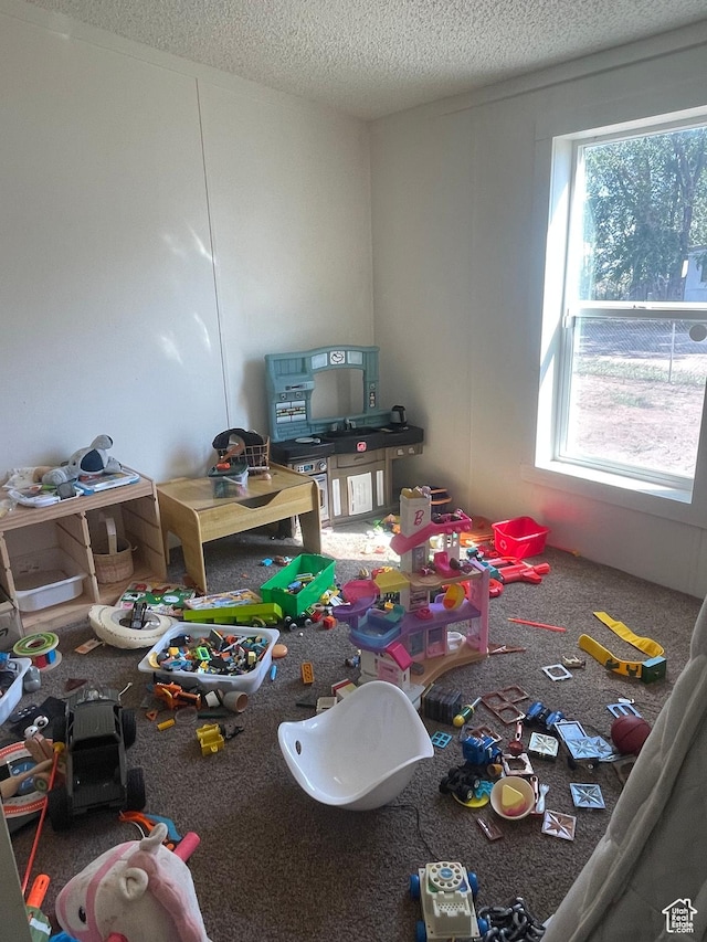 3772 N 15530 W, Altamont, UT 84001 - playroom with a textured ceiling