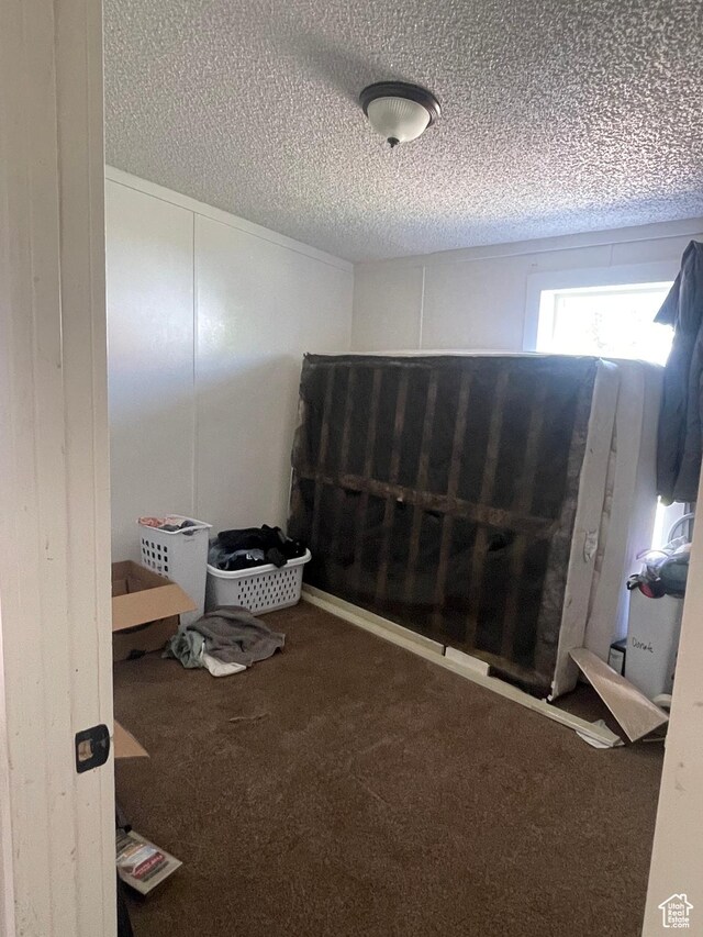 3772 N 15530 W, Altamont, UT 84001 - interior space with carpet flooring and a textured ceiling
