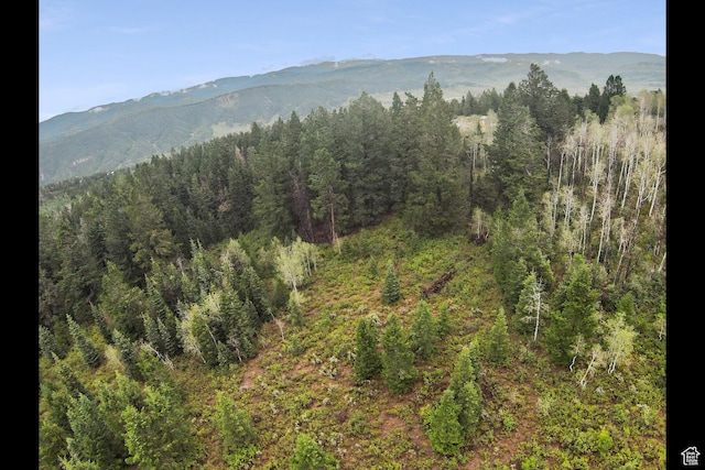 Unit 18-D, Spanish Fork, UT 84660 - photo 10
