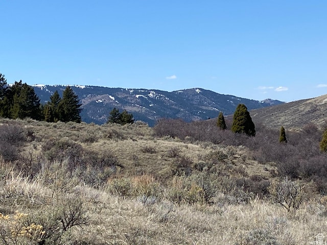 29 Caribou Rd Unit 29, Soda Springs, ID 83276