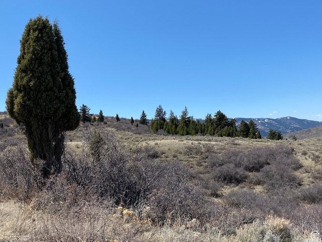 29 Caribou Rd Unit 29, Soda Springs, ID 83276