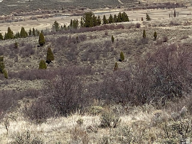 29 Caribou Rd Unit 29, Soda Springs, ID 83276