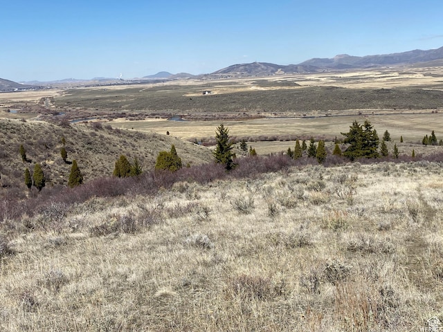 29 Caribou Rd Unit 29, Soda Springs, ID 83276