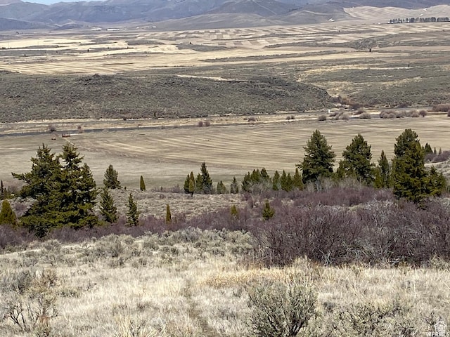 29 Caribou Rd Unit 29, Soda Springs, ID 83276