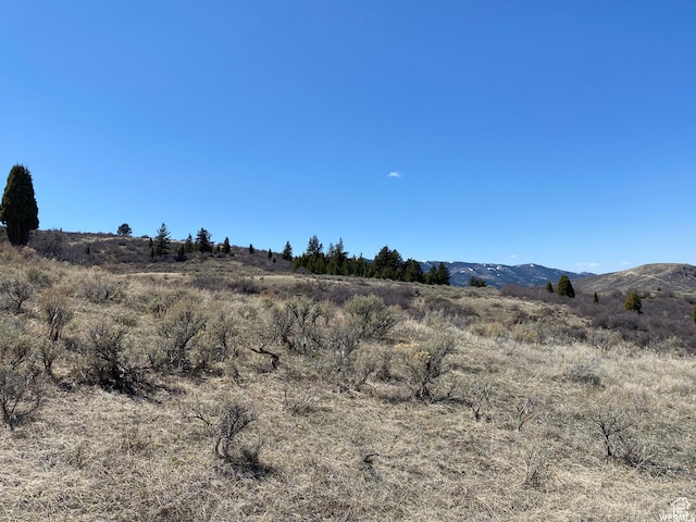 29 Caribou Rd Unit 29, Soda Springs, ID 83276
