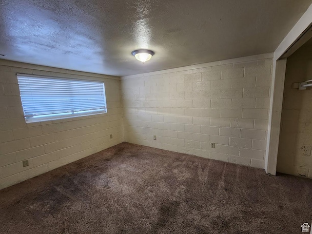 370 W 620 N, Castle Dale, UT 84513 - spare room with concrete block wall, carpet floors, and a textured ceiling