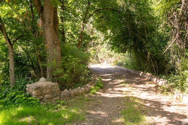 2633 E 6200 S, Holladay, UT 84121 - view of dirt / gravel road with a wooded view