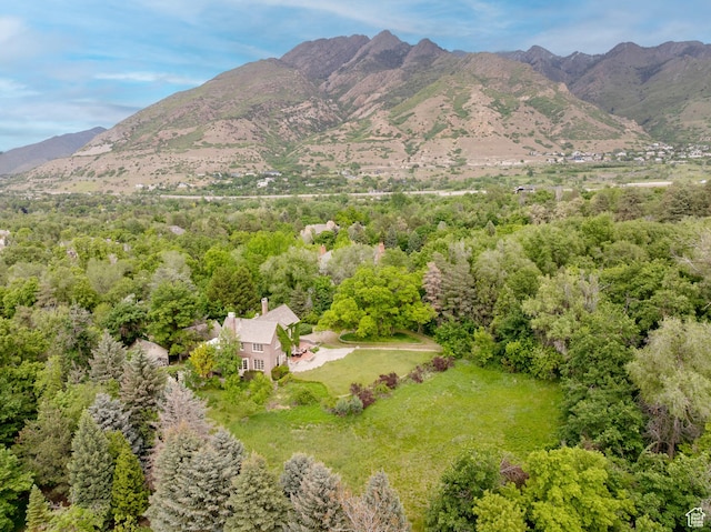 2633 E 6200 S, Holladay, UT 84121 - view of mountain background