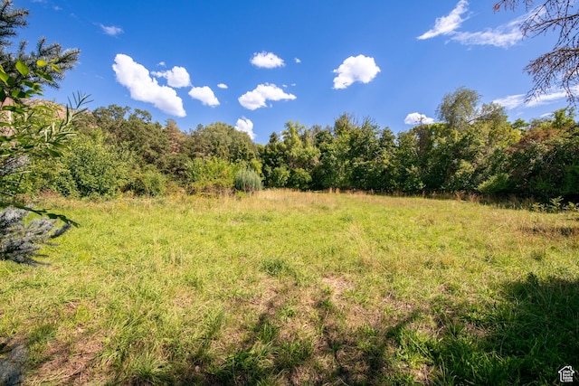 2633 E 6200 S, Holladay, UT 84121 - view of woods